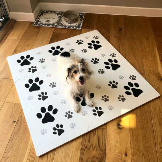 Dog Paw EVA Foam Play Mat